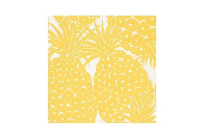Beachwear and Accessories Womens Eres Soleil Ananas Scarf Imprime Ananas Passion