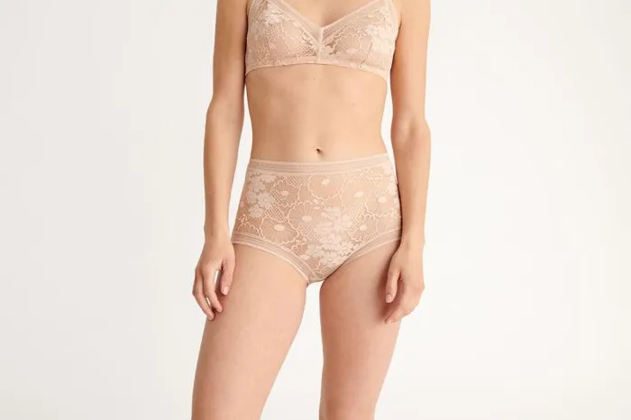 Briefs Womens Eres Acacia Highwaisted Briefs Rose Petale