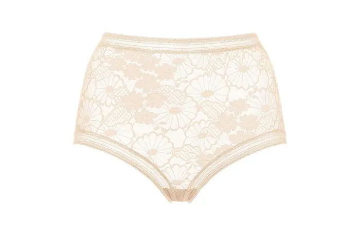 Briefs Womens Eres Acacia Highwaisted Briefs Rose Petale