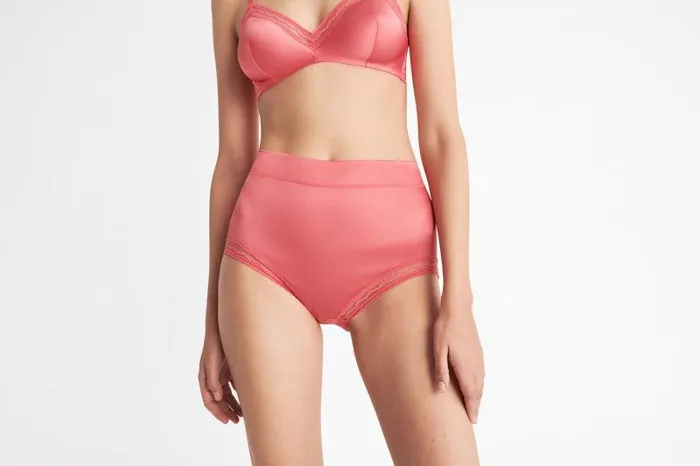 Briefs Womens Eres Romantique Highwaisted Briefs Mon Coeligur