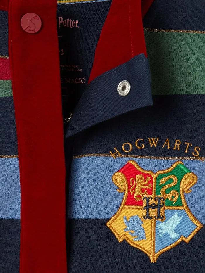 Joules Sweatshirts and Hoodies Girls Multi Harry Potter Striped Sweatshirt