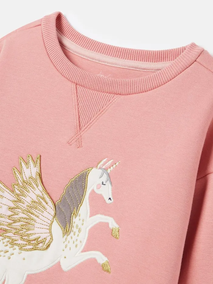 Joules Sweatshirts and Hoodies Girls Pink Embroidered Artwork Crew Neck Sweatshirt
