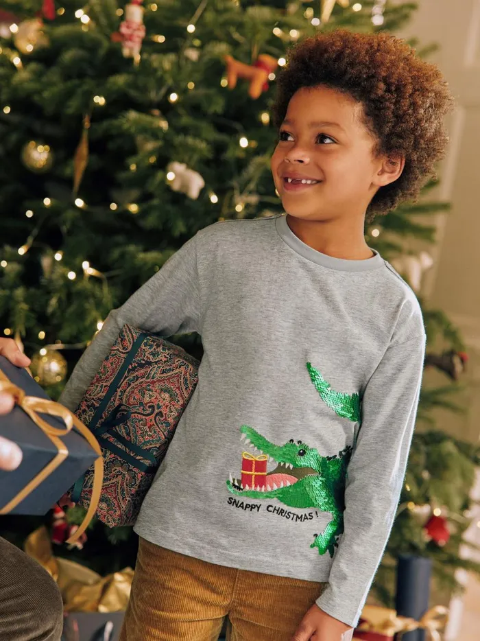 Joules Tops and Tshirts Boys Grey Long Sleeve Artwork TShirt