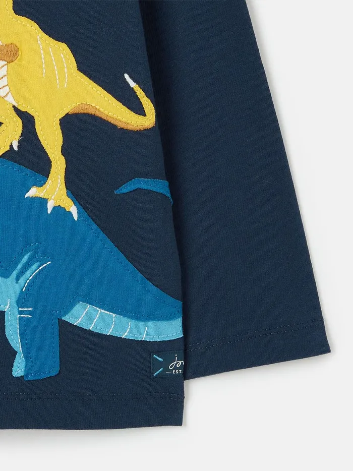 Joules Tops and Tshirts Boys Navy Blue Long Sleeve Artwork TShirt