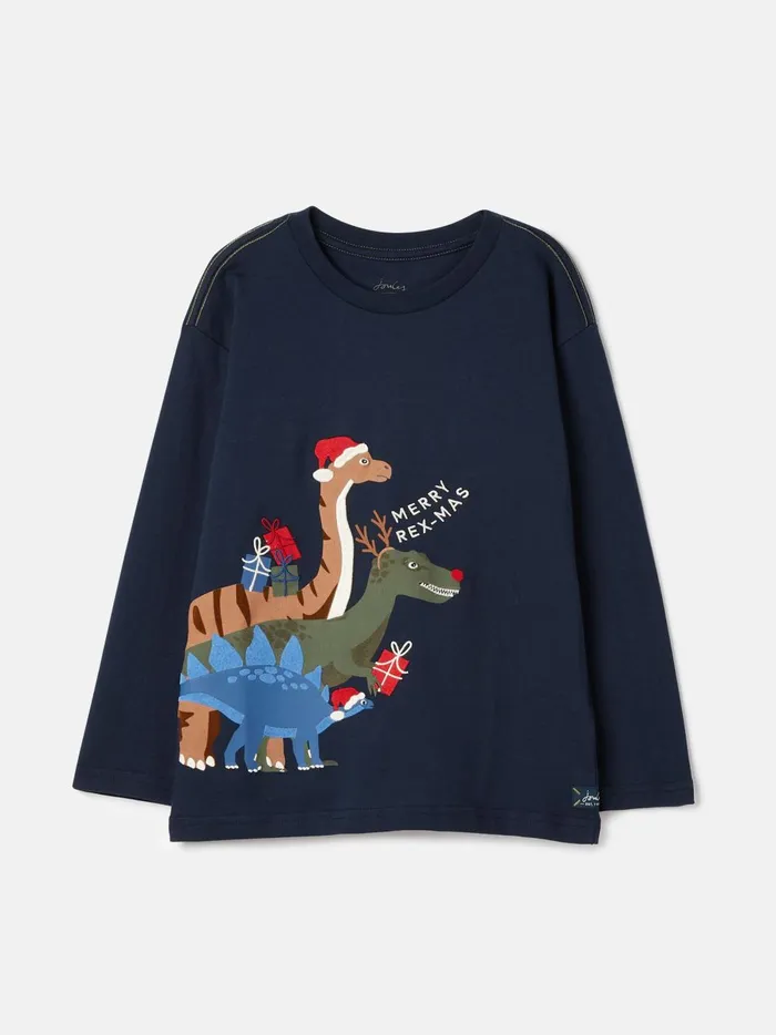 Joules Tops and Tshirts Boys Navy Long Sleeve Artwork Jersey Top