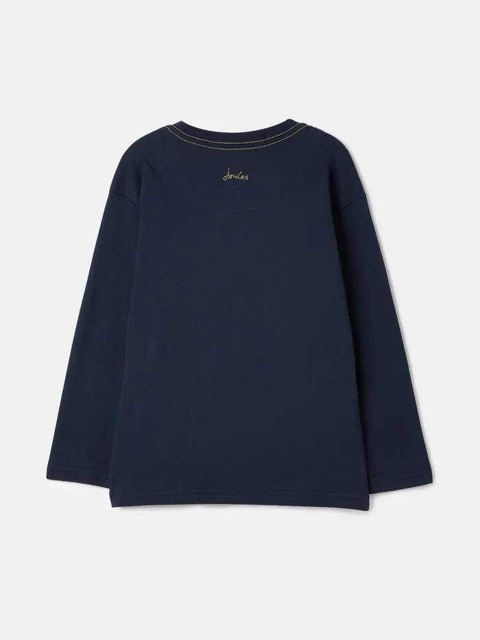 Joules Tops and Tshirts Boys Navy Long Sleeve Artwork Jersey Top