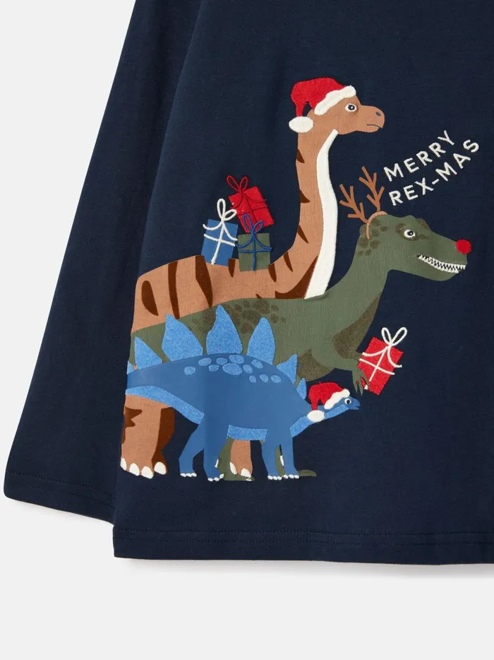 Joules Tops and Tshirts Boys Navy Long Sleeve Artwork Jersey Top