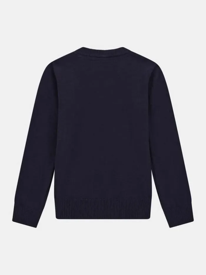 Kids Logo Label Sweater Dark Blue Guess Knitwear And Sweatshirts