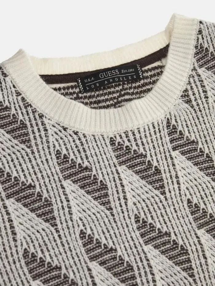 Men Crew Neck Wool Blend Sweater Brown Multi Guess Knitwear And Sweatshirts