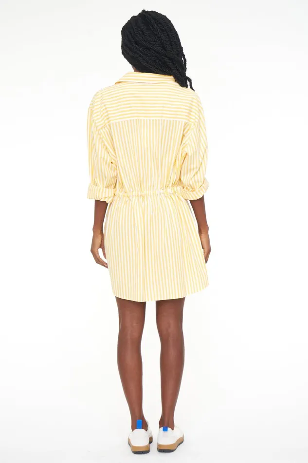 Pistola Denim Layla Cinched Waist Dress 8211 Apricot Stripe Women Dresses