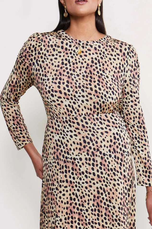 Rixo Dresses Women Cerise Jersey Midi Dress Leopard Fields Brown