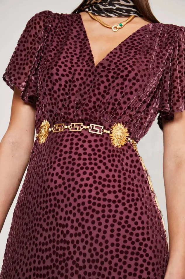 Rixo Dresses Women Gilly Flocked Maxi Dress Scatter Devore Bordeaux