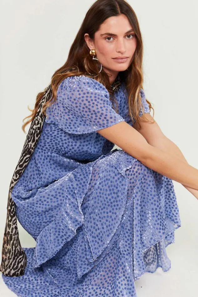 Rixo Dresses Women Gilly Flocked Maxi Dress Scatter Devore Slate Blue