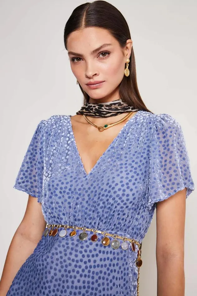Rixo Dresses Women Gilly Flocked Maxi Dress Scatter Devore Slate Blue