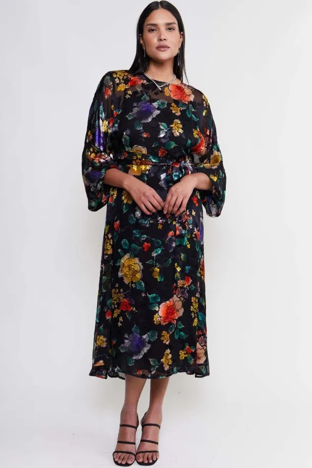 Rixo Dresses Women Pia Silk Midi Dress Ombr Bloom Black