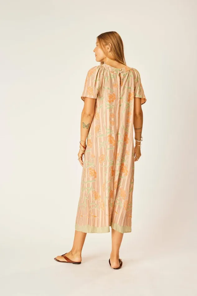Sienna Dress Chamomile Apricot Women Natalie Martin Dresses