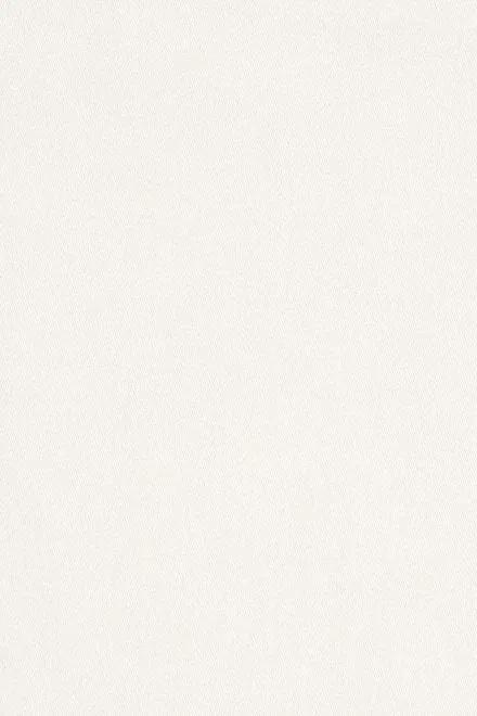 Tolan Shirt White Flat Cotton Women Natalie Martin Tops