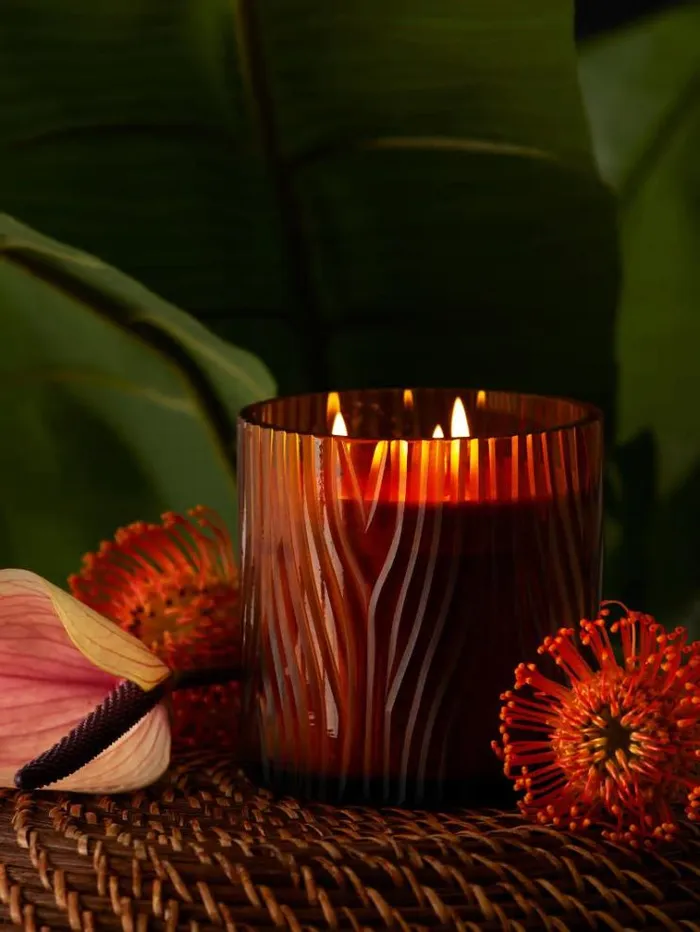 WomenMen zebra Candle Brown Guess Home Collection