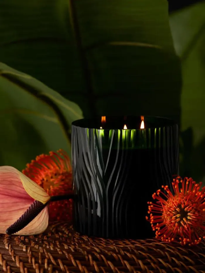 WomenMen zebra Candle Green Guess Home Collection