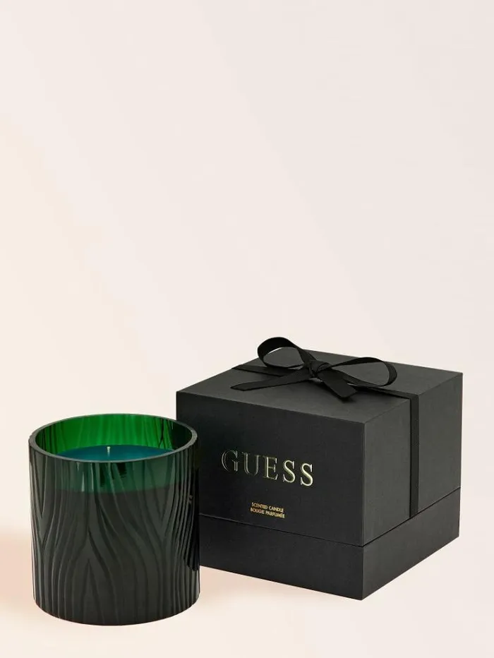 WomenMen zebra Candle Green Guess Home Collection