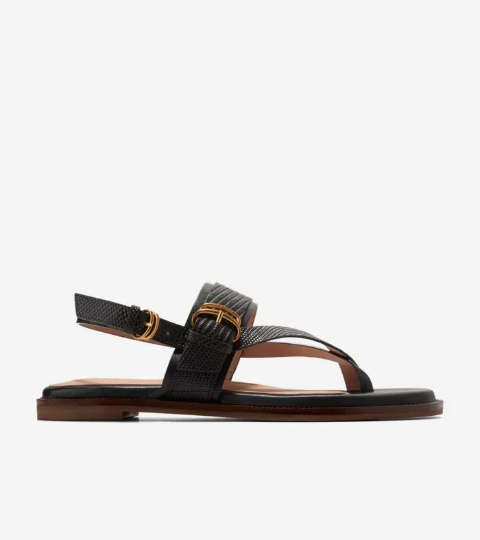Women Sandals Cole Haan Anica Lux Buckle Sandals Black