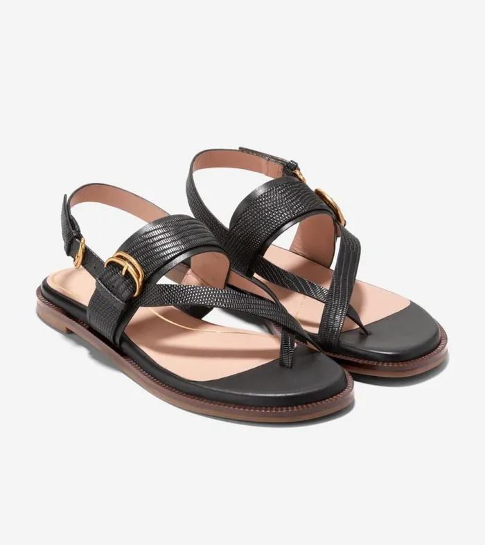 Women Sandals Cole Haan Anica Lux Buckle Sandals Black