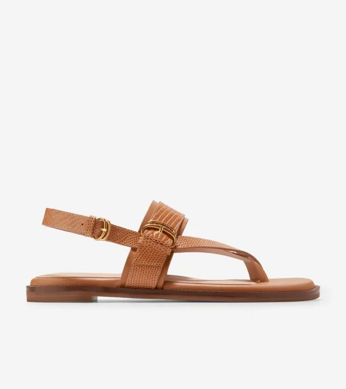 Women Sandals Cole Haan Anica Lux Buckle Sandals Pecan Brown