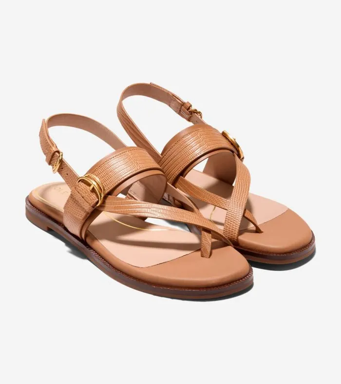 Women Sandals Cole Haan Anica Lux Buckle Sandals Pecan Brown