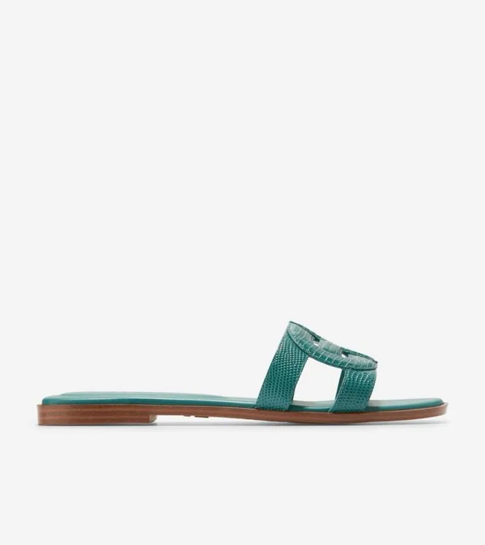 Women Sandals Cole Haan Chrisee Slide Sandals Green Lizard Print