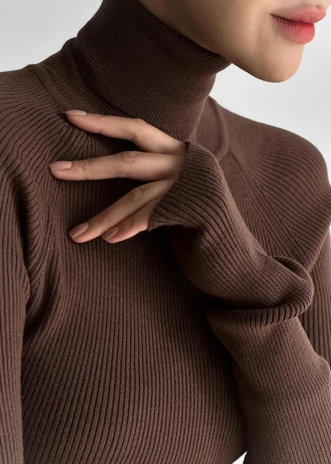 Women The Frankie Shop Knitwear Aubree Turtleneck Brown