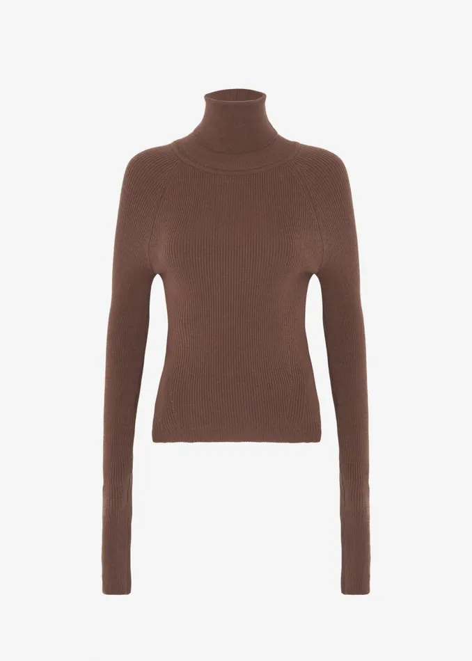 Women The Frankie Shop Knitwear Aubree Turtleneck Brown