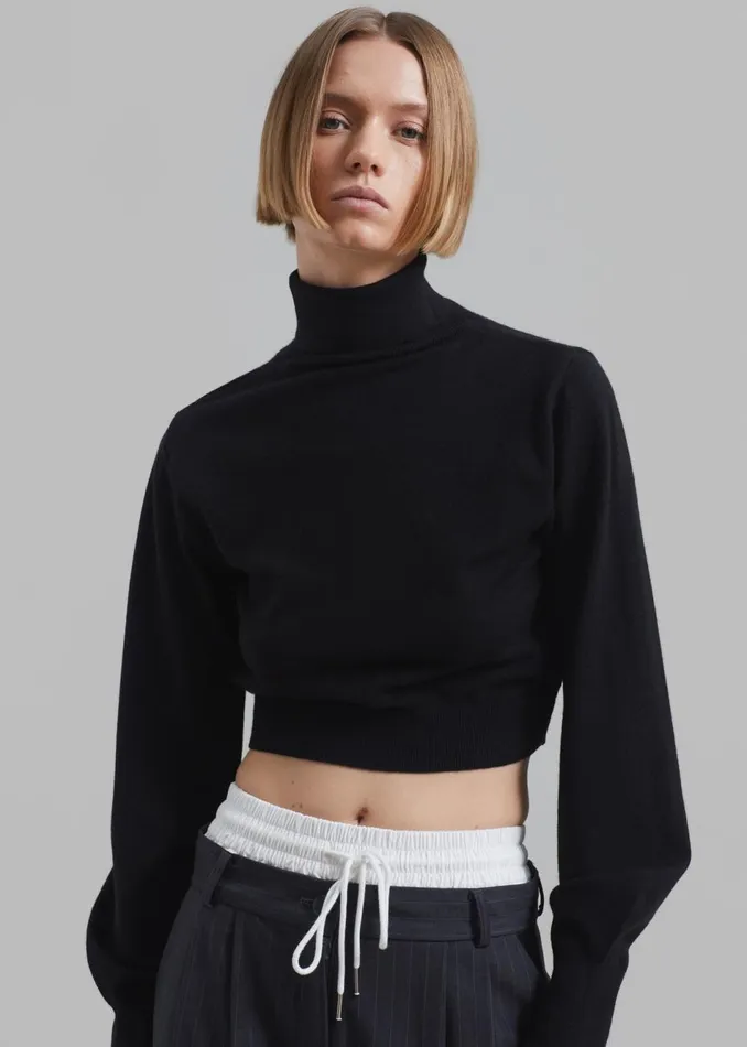 Women The Frankie Shop Knitwear Bella Cropped Turtleneck Black