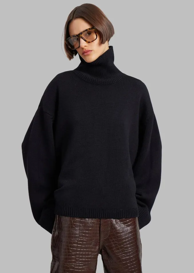 Women The Frankie Shop Knitwear Rhea Trapeze Turtleneck Black